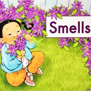 G1 book14 Smells