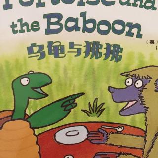 丽声妙想英文绘本第四级-The Tortoise and the Baboon