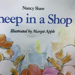 sheep in a shop （p1-16）