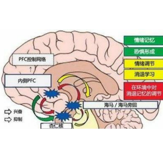 《由内而外的教养》7章 如何控制情绪（1）失控状态