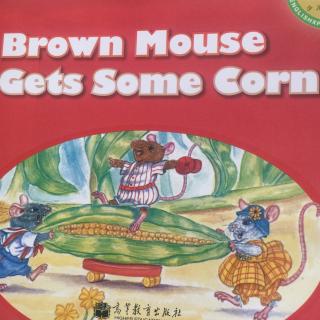 Set A L4-B6 Brown Mouse Gets Some Corn