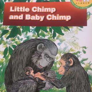Set A L4-B7 Little Chimp and Baby Chimp