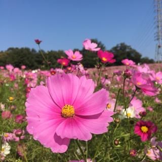 22回目、バレンタインの日が近いね