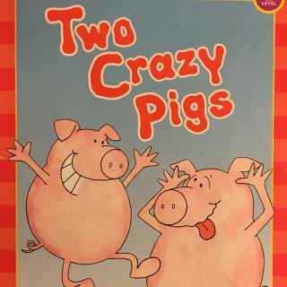 121. Two Crazy Pigs (by Lynn)