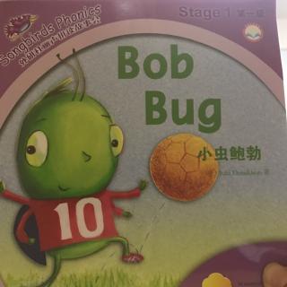 Bob  Bug  小虫鲍勃－－姜彦名