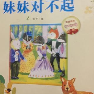 妹妹对不起