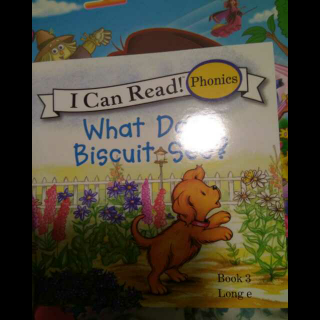 what  does biscuit see