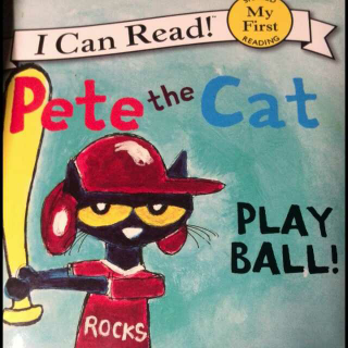 Pet the cat play ball 讲解版
