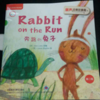 《Rabbit on the Run》