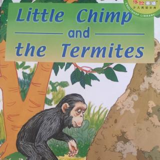 Set A L5-B2 Little Chimp and the Termites