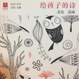 孩子们的歌  R.S托马斯