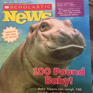 雯雯读: 100磅的小宝宝 (一年级水平) 100 Pound Baby