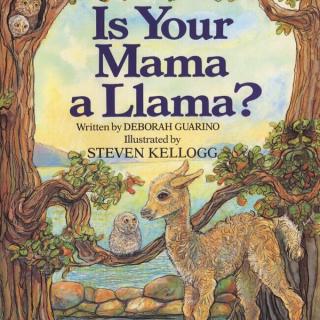 Is Your Mama A Llama？[LI LK Unit6]