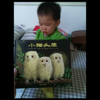 和二宝读《小猫头鹰》