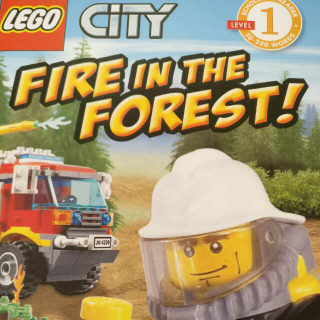 Fire In The Forest