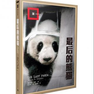 【周一 | 每周一书】《最后的熊猫》第1集: 出访熊猫之乡（上）