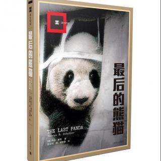 【周二 | 每周一书】《最后的熊猫》第2集: 出访熊猫之乡（下）