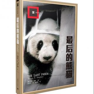 【周三 | 每周一书】《最后的熊猫》第3集: 卧龙的冬季（上）