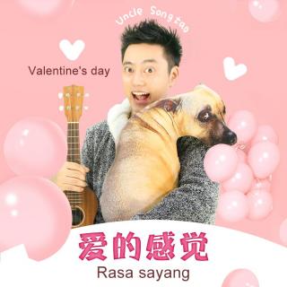 【情人节】马来西亚 Rasa sayang 爱的感觉