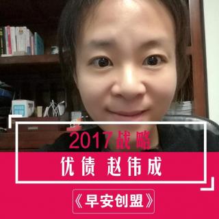 387期 2017战略要点by赵伟成