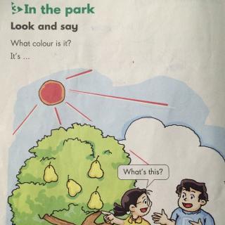 12-In the park
