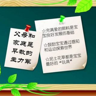 《养育的选择》2章3父母和家庭才是早教的主力军