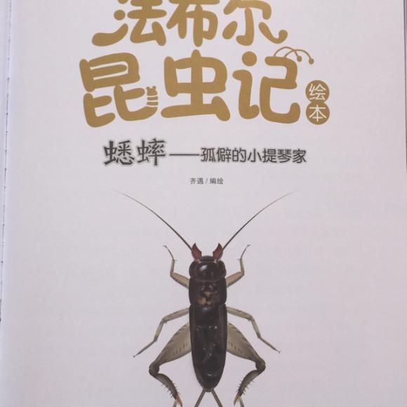 法布尔昆虫记之蟋蟀--孤僻的小提琴家