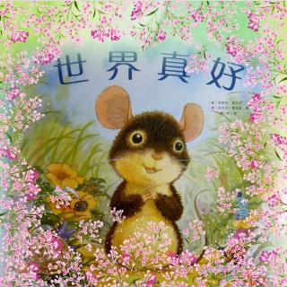 《世界真好》绘本故事🌸🌻🐨