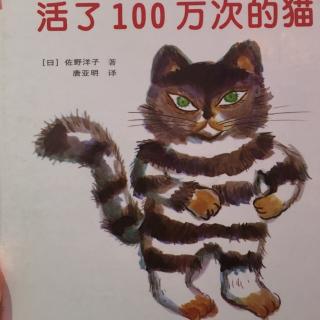 兔兔老师讲故事~活了100万次的猫