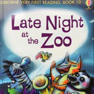 Usborne Very First Reading: Book 10 Late Night at the Zoo