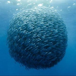 wontcircumscribecircumference