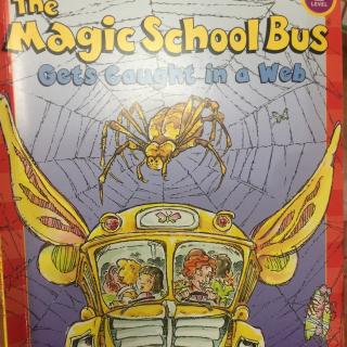 Magic bus-gets caught in a web