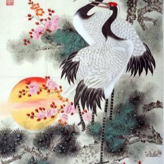 《错乱》作者／长城  朗诵：松风竹韵