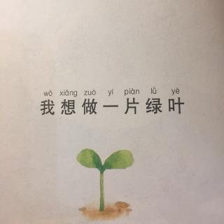 我想做一片绿叶🍃1