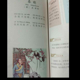 31，春晓——（唐）孟浩然