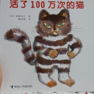 活了100万次的猫