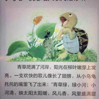 小乌龟：我想唱只歌儿给你听👂