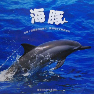 海豚🐬