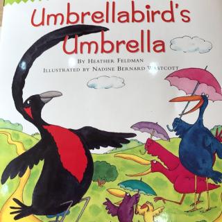 Umbrellabird's umbrella