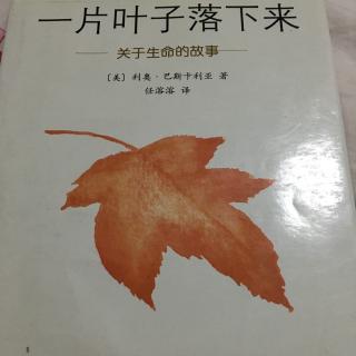 一片叶子落下来