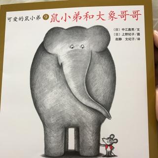 《鼠小弟和大象哥哥》