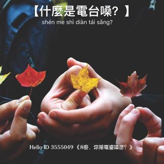 《8麦，你是电台嗓嚒？》2017.1.11 周三（下） 