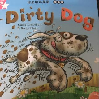 Coco夜读 Day56 Dirty Dog