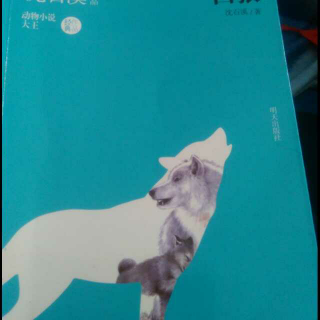 《白狼》沈石溪动物小说