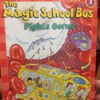 The magic school bus