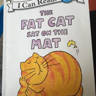 The fat cat sat on the mat