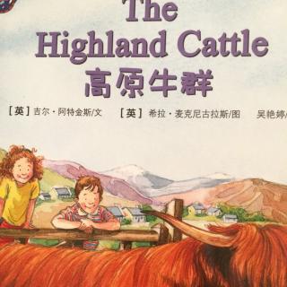 The Highland Cattle