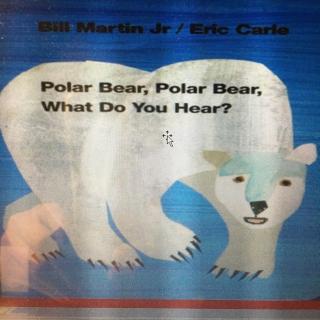 Polar Bear，Polar Bear！NO.1