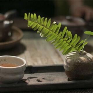 【一叶知心·茶相茶味】第二章 观一位“俏佳茗”-禀洌之青茶