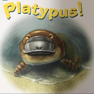 Platypus!-listen and repeat跟读